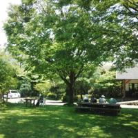 田舎しぜん (@andoke2011) 's Twitter Profile