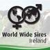 World Wide Sires Irl (@wwsireland) Twitter profile photo