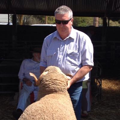 woolandsheep's profile picture. Livestock and Wool representative at Schute Bell Badgery Lumby covering the Central Western NSW.
