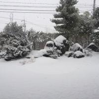 たけ (@takeee0501) 's Twitter Profile