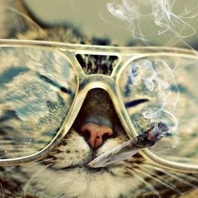 buscador de sueños