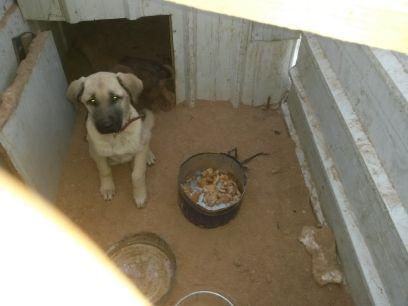 5Kirkbunar's profile picture. 