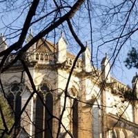 CDCM  (@cdcmmontpellier) 's Twitter Profile