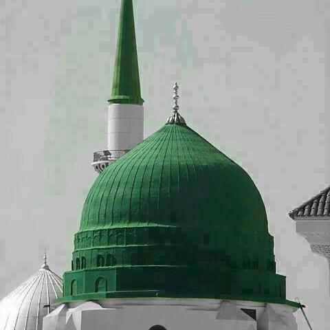 RaheelSanvi's profile picture. Chairman Tehreek e Ahya e Deen o Sunnat e Muhammadi
