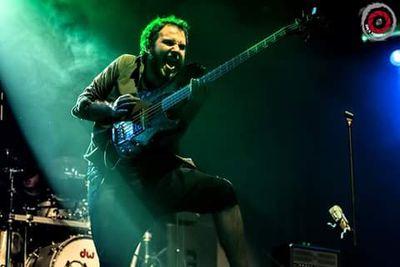 Intentando sonbrevivir en el fascinante mundo de la musica