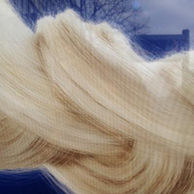 ~~~ shore up ~~~ design / images / motion ~~~ research / collaboration ~~~