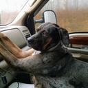 john Scheib - @Scheib4J - Twitter