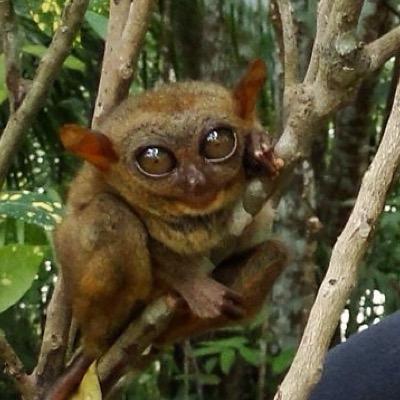 sugandina's profile picture. 