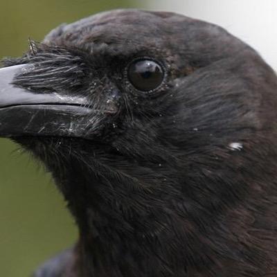 EO2N's profile picture. 