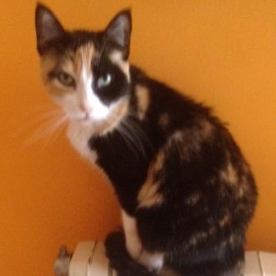 Xerraire, reservat, observador i bona persona.