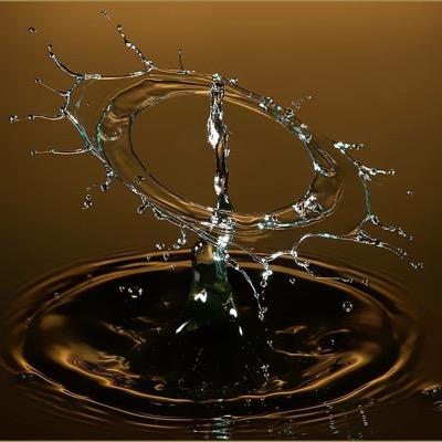 lepley_david's profile picture. 