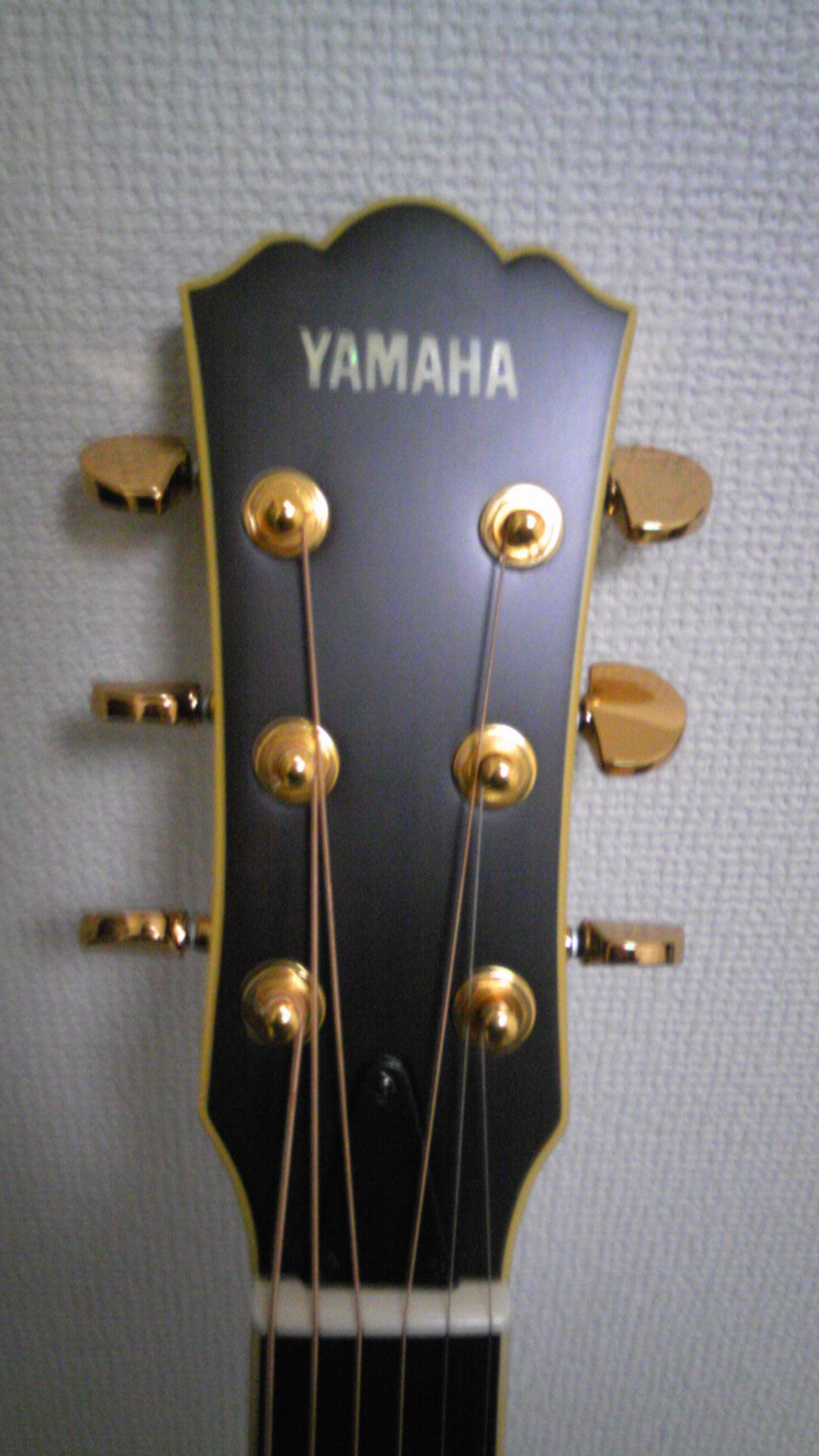 tat_z's profile picture. 今どんな音楽が流行っているのかさっぱりわからない、遅れてきたフォークシンガーもどき。血糖値は高く、テストステロン値は低く。