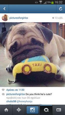 lelepap16's profile picture. 