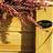 labat_merle's profile image