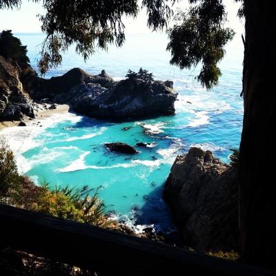 SFrede's profile picture. 