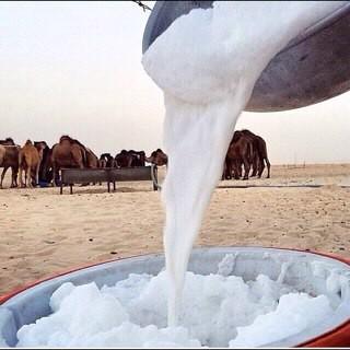 ‏‏‏‏‏7F1D0253   الكريزي911