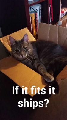 CarolG0830's profile picture. 