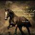 zeezoo (@alshibliziyad) Twitter profile photo zeezoo (@alshibliziyad) Twitter profile photo