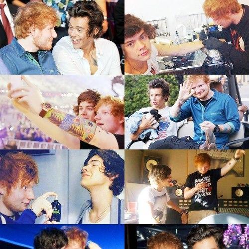 DIRECTIONER FROME RUSSIA