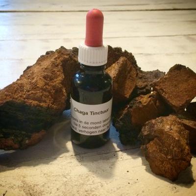Chaga van Nederlandse bodem, puur en eerlijk verwerkt