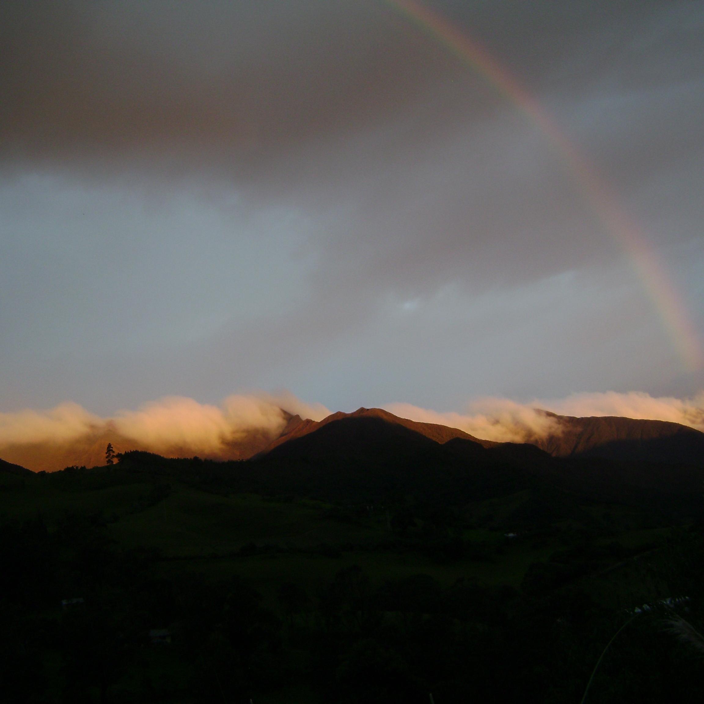 maifetorres's profile picture. 