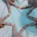 coco lee - @cocoyuenkuan - Twitter