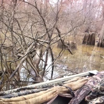 Local Ducks Unlimited Chapter since 1978