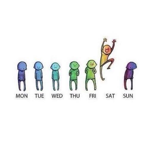 OrphanBlunder's profile picture. 