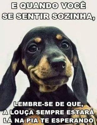 iansouza194's profile picture. 