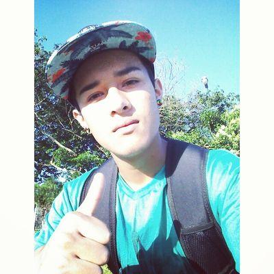 whatts 94290111