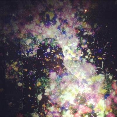 nadiaparanoia's profile picture. digestive issues