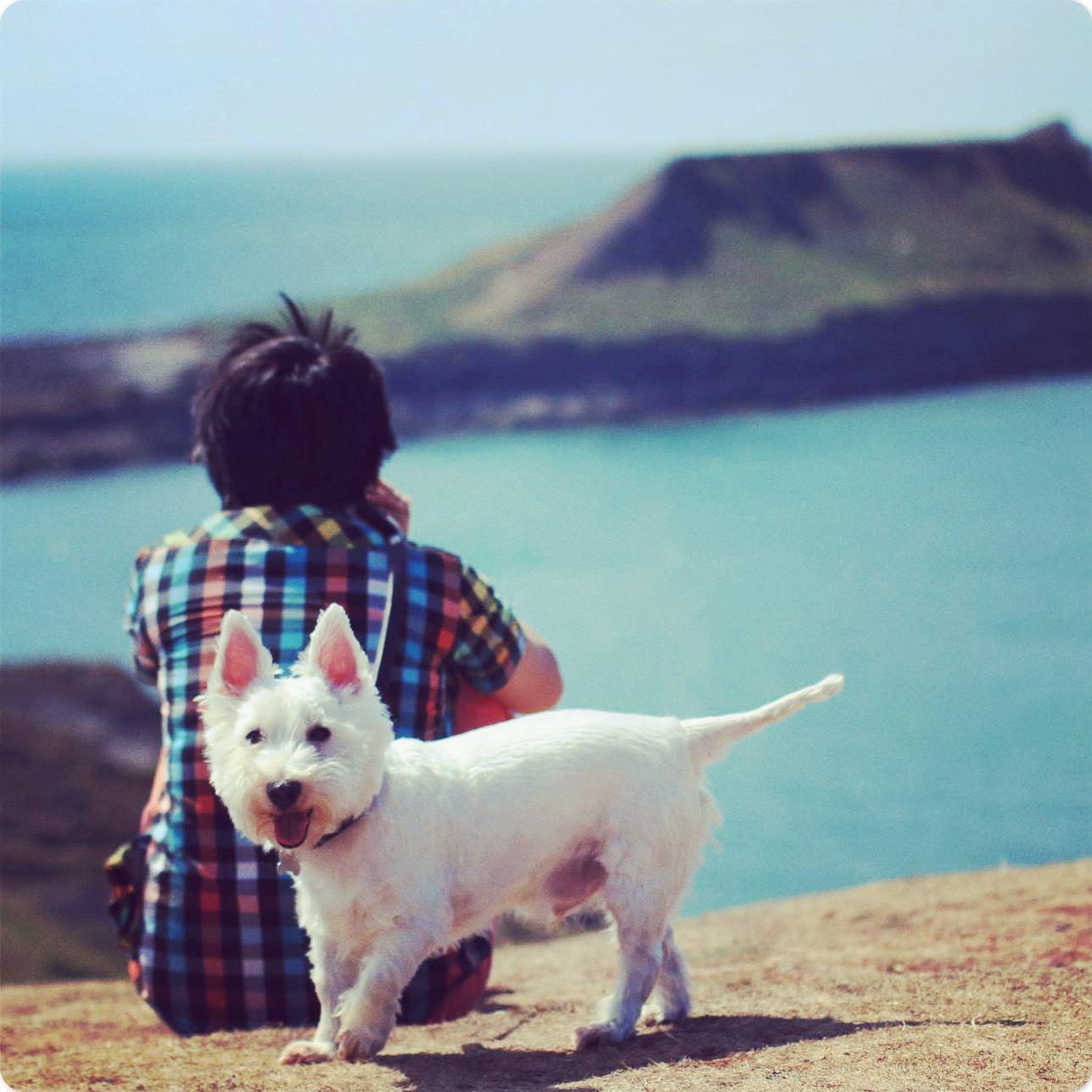 shanel_42's profile picture. Cinephile. Musicomania. Social Phobic(recovering). Dog Person. Digital gal @UWEBristol. Social Media specialist and freelance filmmaker.