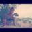 riyadi_forest's profile image