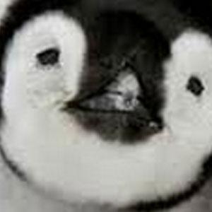 変な風に疑われたくないから不安とかあるなら最初は会ってお茶だけとかでもぜんぜんいいよ！会える人募集中！