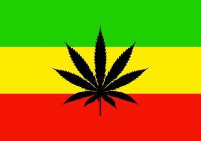 free the weed 420