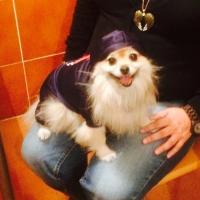 Makarbide (@makarbide) 's Twitter Profile