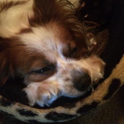 ryo5Oh's profile picture. 若い時にやれる事はやっておきたい！！

時々呟いたりするので良かったら仲良くして下さい！
多趣味なので、何か面白いことあったらシェアしましょう！