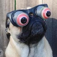 Sugar 🇮🇨 (@victorcaste) 's Twitter Profile