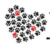 Just Paws Animal Rescue is a not for profit foster based dog rescue in the Greater Toronto Area