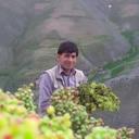 Mirjan Kazimi (@57e7a51ea3444ff) Twitter