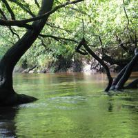 DEGRAVE Laurent (@degravelaurent2) 's Twitter Profile