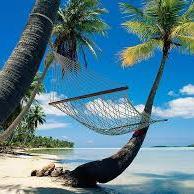 GlendasPOV's profile picture. Living in Florida..dreaming of Colorado! Jesus follower. Animal lover. Book reader. Fan of the British Royals. Slight TV addiction.