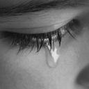 محمد الجمل (@0827ef8ba293446) Twitter