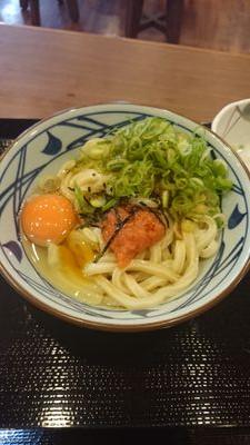 _mentaikamatama's profile picture. テニス好きのチビです！観戦大好き！wowowでグランドスラム中は寝不足です！錦織はもちろん海外のプレーヤーの話とか興味です！細々と自分のテニスも向上中です…