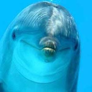 i am 14 year olds i have a youtube  am only getting started check that out no h8 m8 pls i would love some help on youtube :D