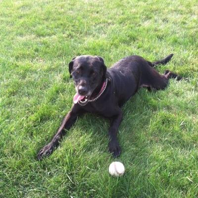 joeleric73's profile picture. 