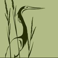 Wetlands Watch(@wetlandswatchVA) 's Twitter Profile Photo