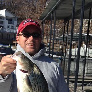 UI Designer @ABOUT_est2005, likely to post about UI/UX, BBQ, and bass fishing.