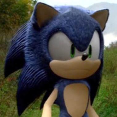 Hi, I am Sonic The Hedgehog, the fastest thing alive. I am always on the move to stop Dr.Eggman from ruling the world. {Hurted someone I care about deeply, so I