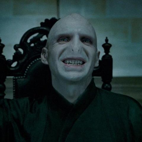 Señor Tenebroso, rey de las artes oscuras. El amo en oclumancia y legeremancia. Tocad a @BellatrixFP y será la última vez que dispongáis de brazos.